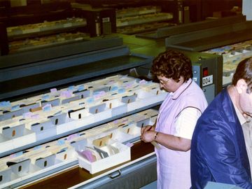 Mitarbeiterin der Abteilung XII bei der Arbeit an einem Karteiumlaufschrank