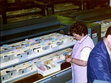 An employee of the department XII working on the file circulator.