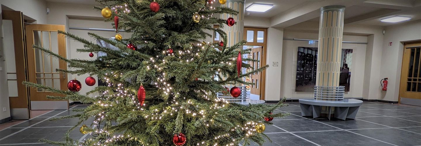 Das Bild zeigt einen Weihnachtsbaum im Foyer der Ausstellung 'Einblick ins Geheime'