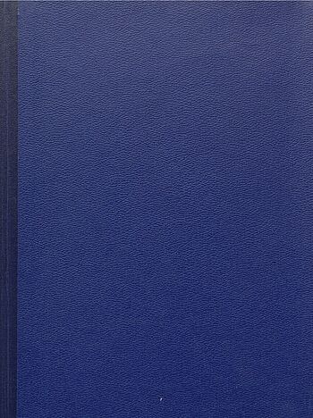 Zu sehen ist ein blauer Akteneinband ohne Beschriftungen.
